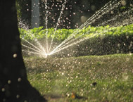 esempio di realizzazione di un impianto di irrigazione all'interno di un giardino