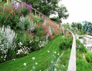 Tappezzanti sempreverdi, erbacee perenni in fiore in primavera, estate e autunno: Nembro 4