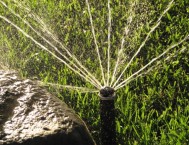 Irrigatore statico con testina "rotator", manto erboso di festuca e sasso in arenaria