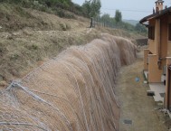 Pontida 4: l'opera di ingegneria naturalistica sarà un muro verde con edere e gelsomini